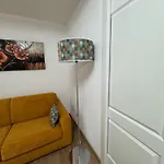 Il Tulipano *