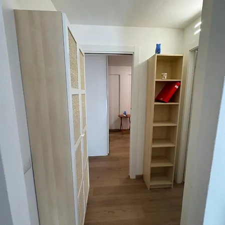 Il Tulipano