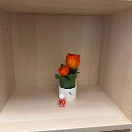 Il Tulipano *