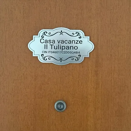 Il Tulipano